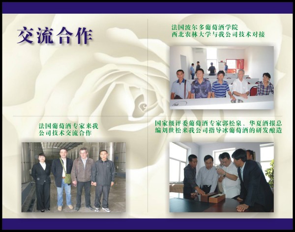 conew_图片1.jpg