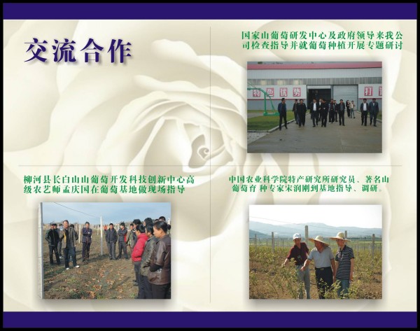 conew_图片2.jpg